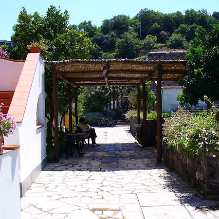 Hotel La Marticana Ischia Luaran gambar