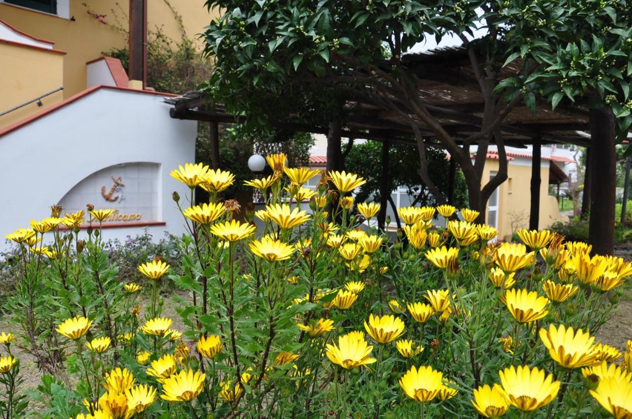 Hotel La Marticana Ischia Luaran gambar