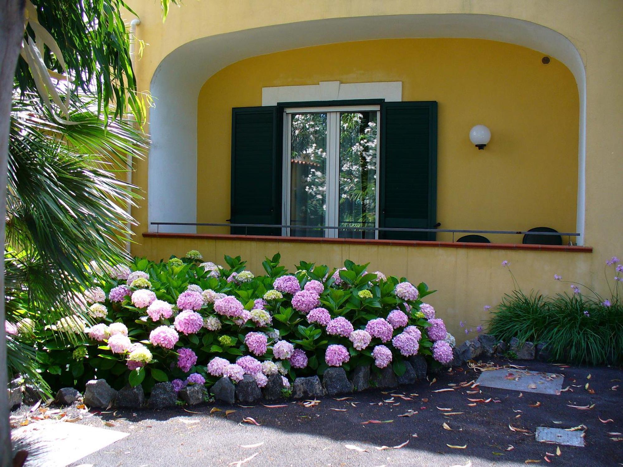 Hotel La Marticana Ischia Luaran gambar
