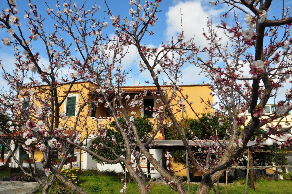 Hotel La Marticana Ischia Luaran gambar