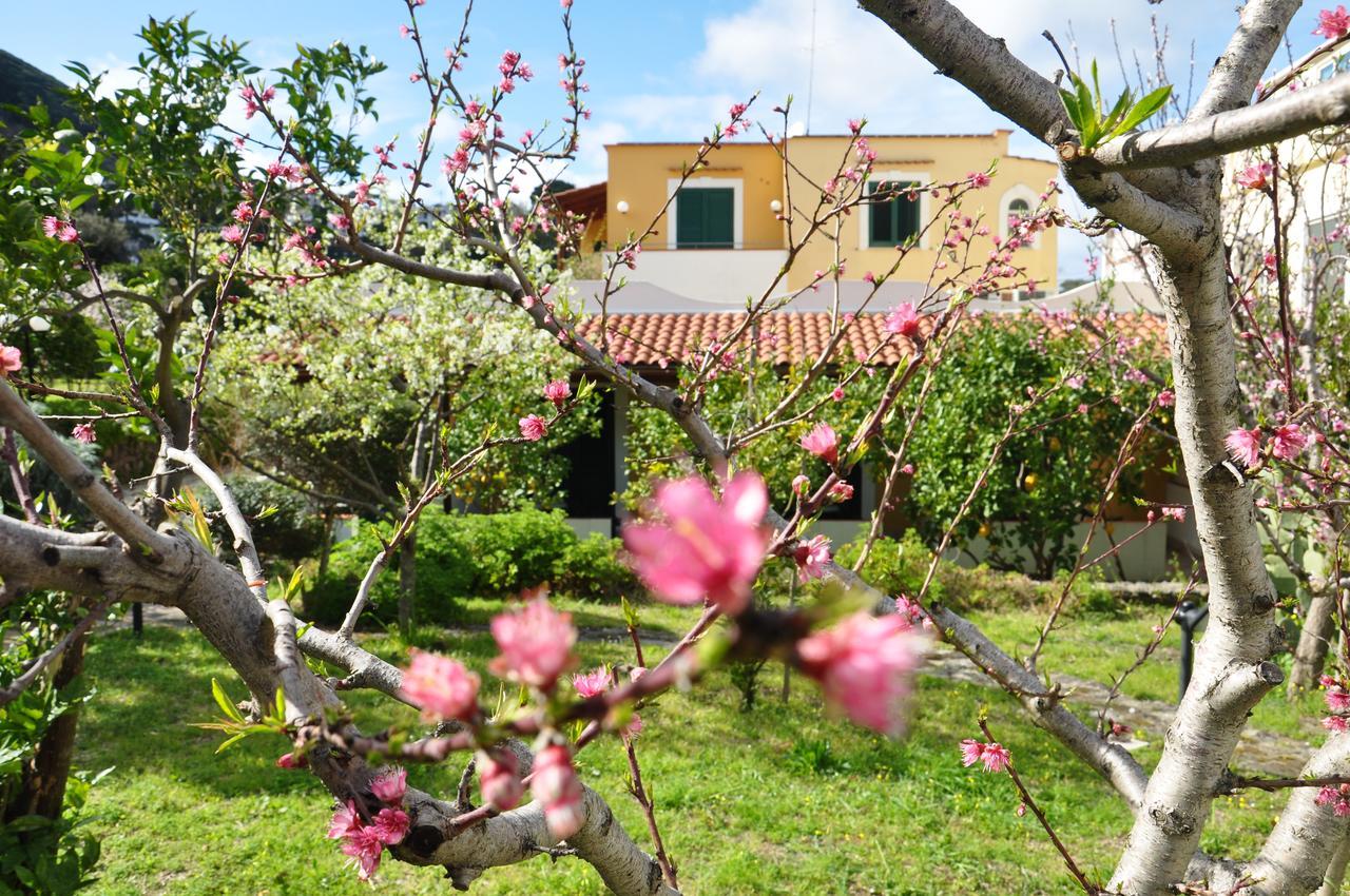 Hotel La Marticana Ischia Luaran gambar